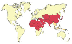 Estimated effects of water scarcity on GDP in 2050